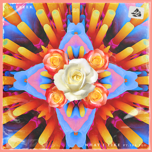 What I Like (feat. IDA fLO)
