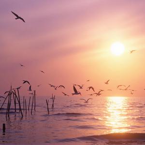 Une Chanson pour un Papa et une Maman