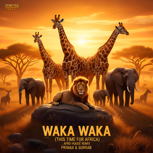 Waka Waka (This Time For Africa) (Afro House Remix)
