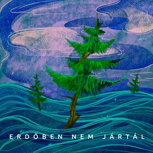 Erdőben nem jártál