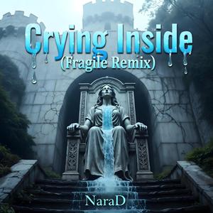 Crying Inside (Fragile Remix)