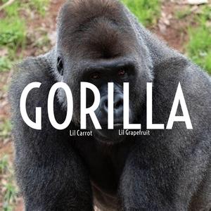 GORILLA (feat. Lil Grapefruit)