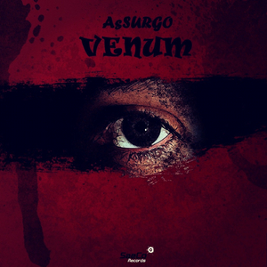 Venum (Original Mix)