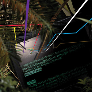 Stel Dum (album version).