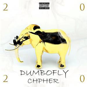 Dumbofly 2020 Cypher