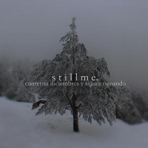 En lo hondo de tus ventanas mis bosques