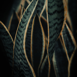Unfold