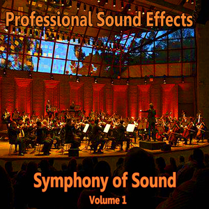 Symphony of Sound Professional Sound Effects 4626