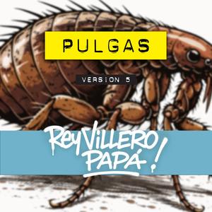 Pulgas