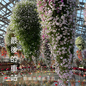 可憐戀花再見吧