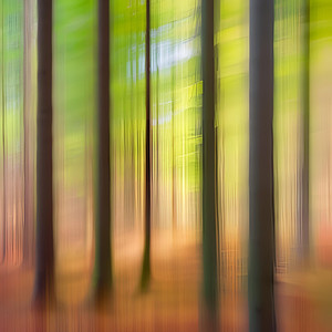 勉強がはかどるリラックスBGM