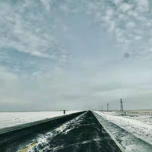 游鸥之语（The Language of Gull）