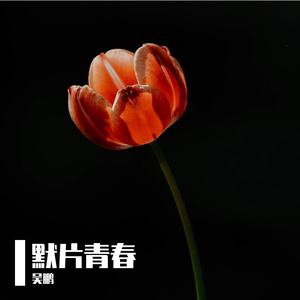 默片青春