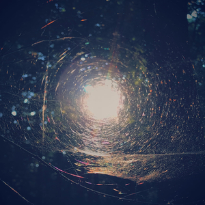 Trapped in an Endless Loop of Lingering Fear