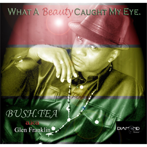 What Beauty Caught My Eye