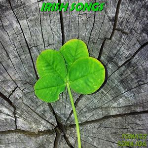 The Leprechaun's Gold