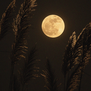 Lucid Dreaming, Pt. 04