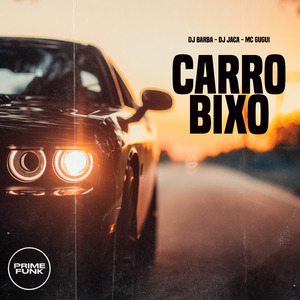 Carro Bixo