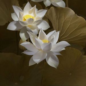 [FREE] “不可触及” POP TYPE BEAT