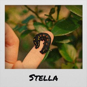 Wrap Your Troubles In Dreams