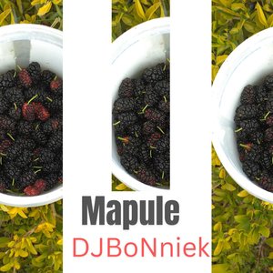 Mapule (Instrumental)