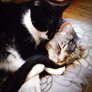 爱的口水歌{怀旧版}