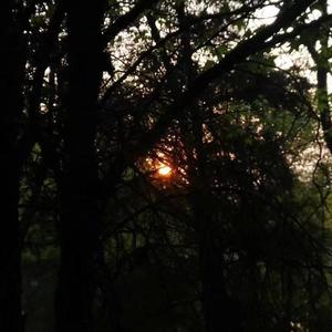 浪漫主义小红歌