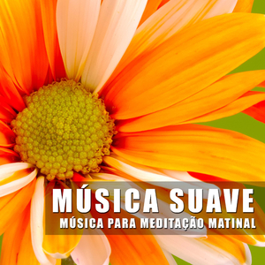 Alinhamento e Balanceamento