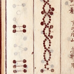 桜の樹の下には