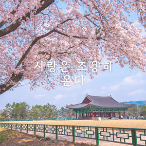 사랑은 조용히 온다