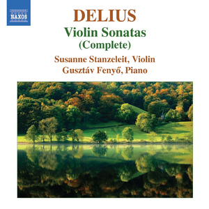 Violin Sonata in B Major, Op. posth.:III. Allegro con moto