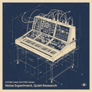 Noise Experiment, Quiet Research