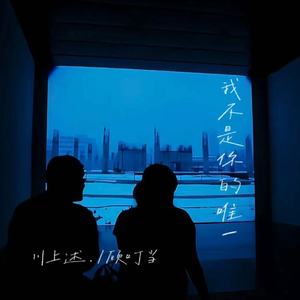 我不是你的唯一