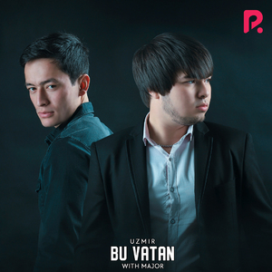 Bu vatan