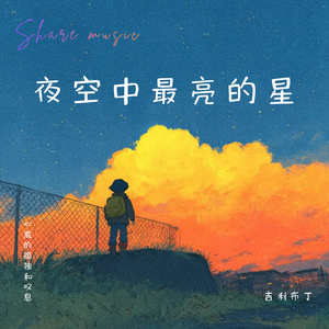夜空中最亮的星(温柔女生版)