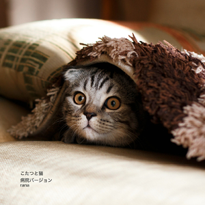 こたつと猫 (病院バージョン)