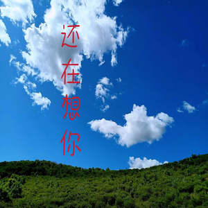 还在想你