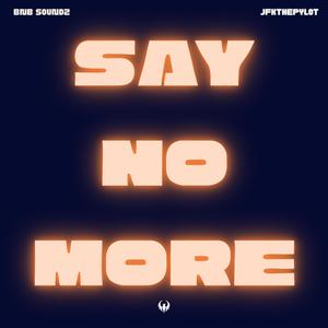 SAY NO MORE