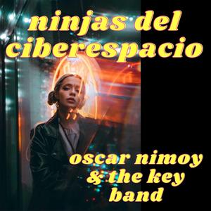 Ninjas del Ciberespacio