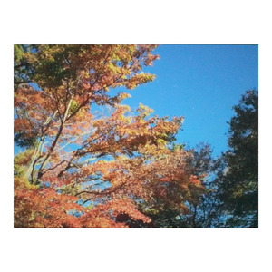 Where Is My Mind? (kalimba version)