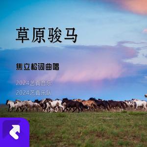 草原骏马 (现场)