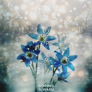 冬のブルースター