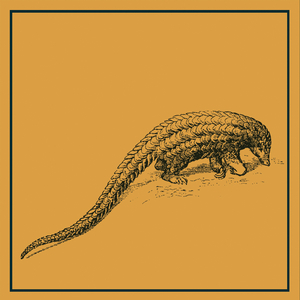 Toma Dab (Mijail Mitrovic Remix)