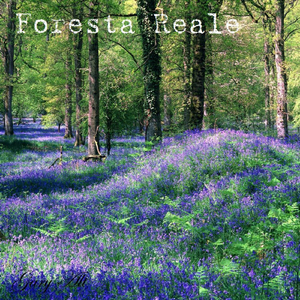 Foresta Reale