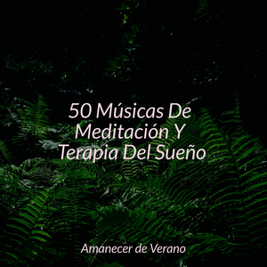 Fantasía de Fragancia Desenredada