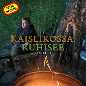 Kaislikossa kuhisee