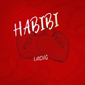 HABIBI