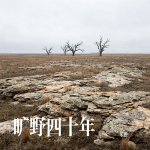 旷野四十年