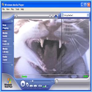 How To Be An Egg-Headed Bitch