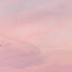 黎明降至Approaching Dawn